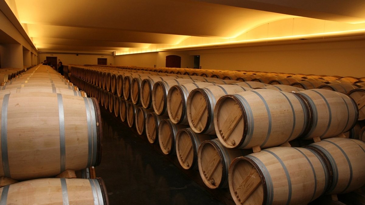 Barriques de vin dans une cave